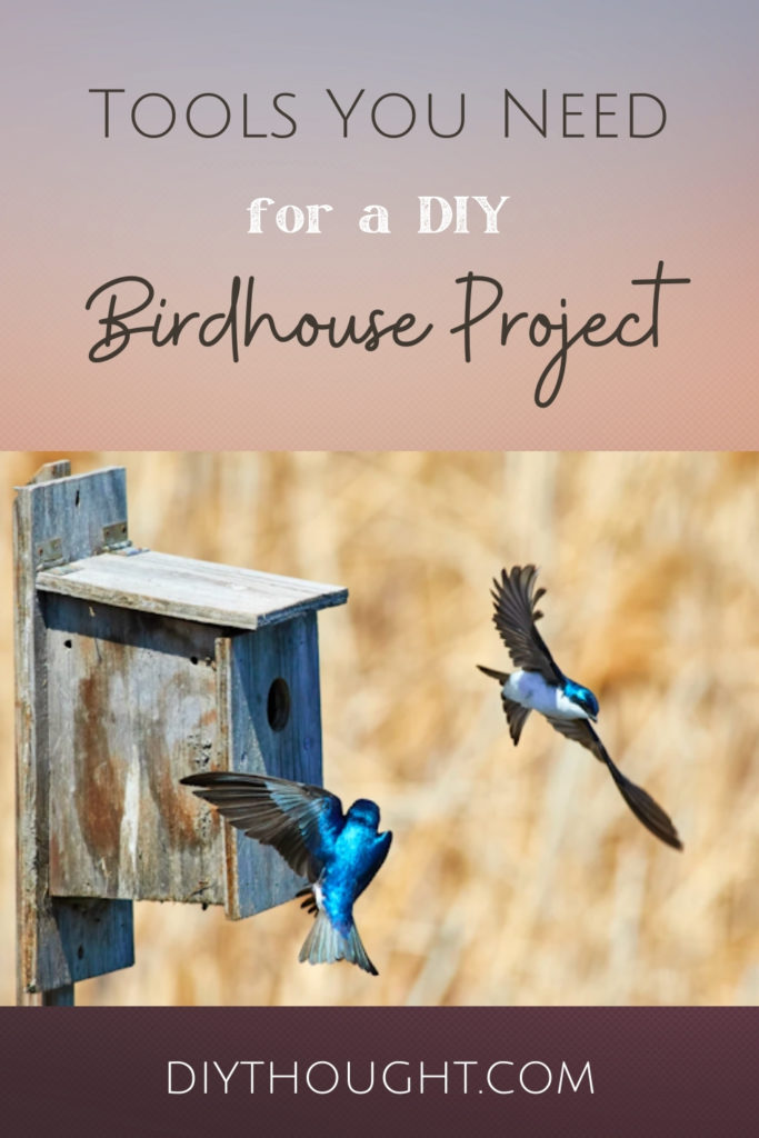 Tools You Need for a DIY Birdhouse Project