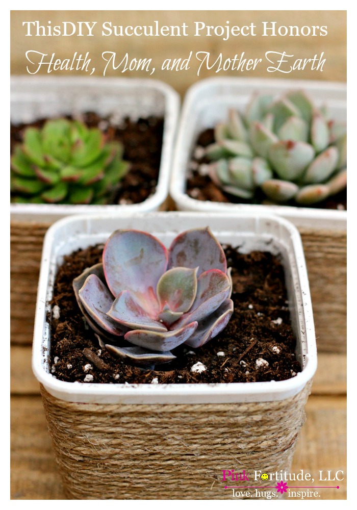 upcycled succlent pot