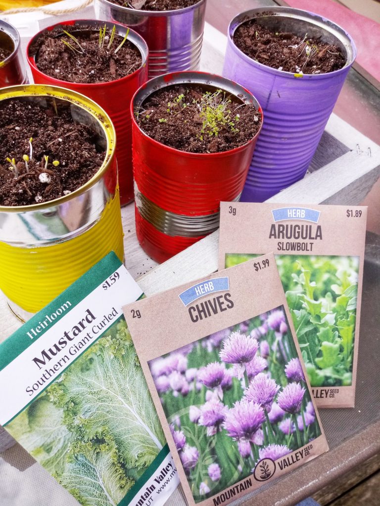 tin can herb garden