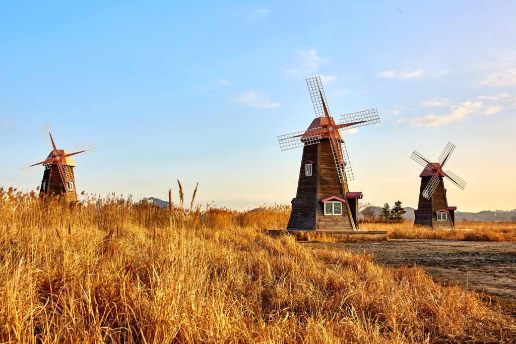 windmill day