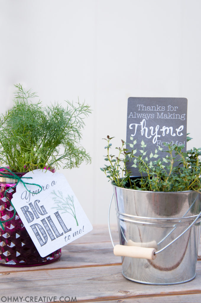DIY Gifts For Mother's Day- herb with gift tag