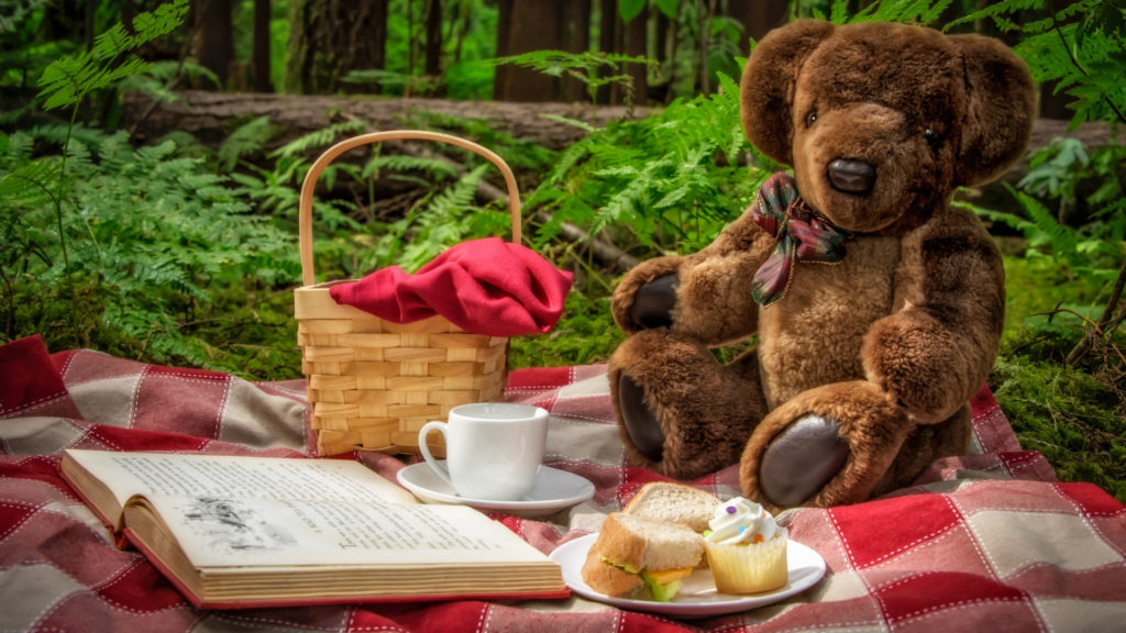 teddy bears picnic