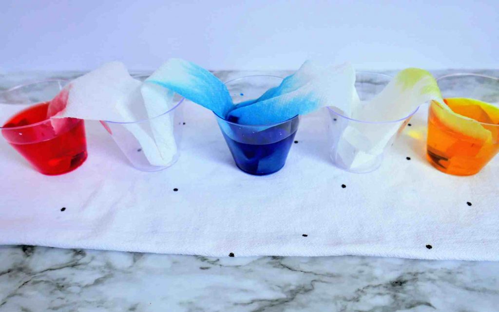 Rainbow Water STEM