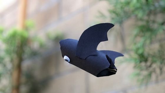 flying bat