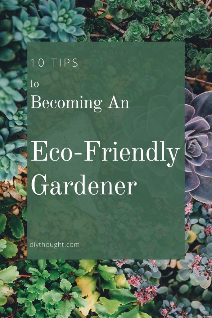 10 Tips To Becoming An Eco-Friendly Gardener