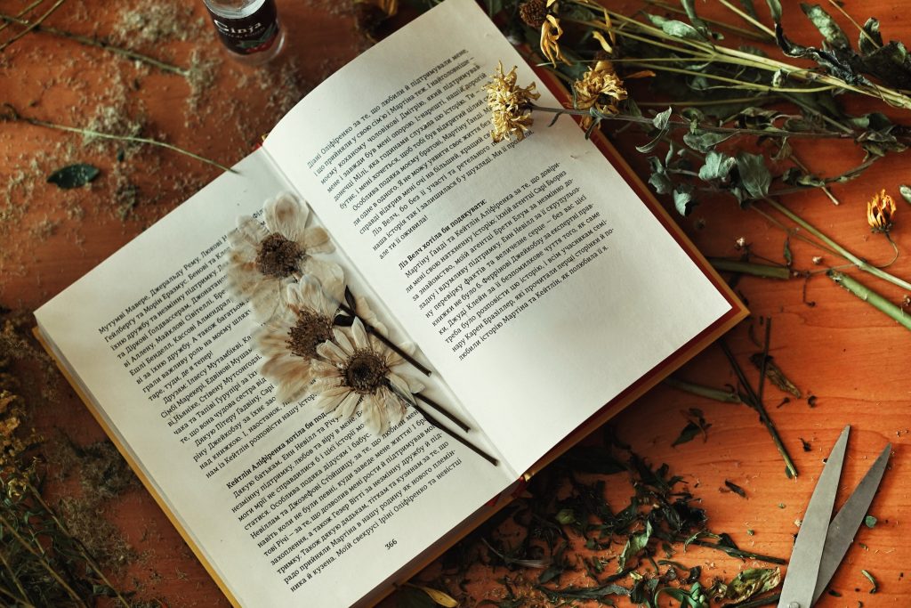 dried flowers