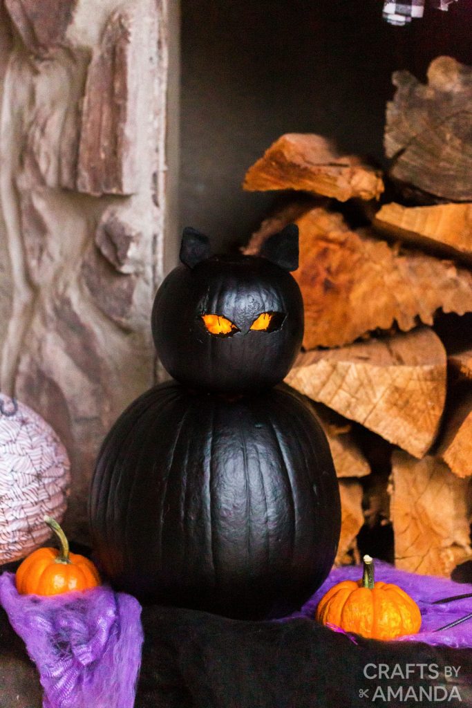 black cat halloween pumpkin