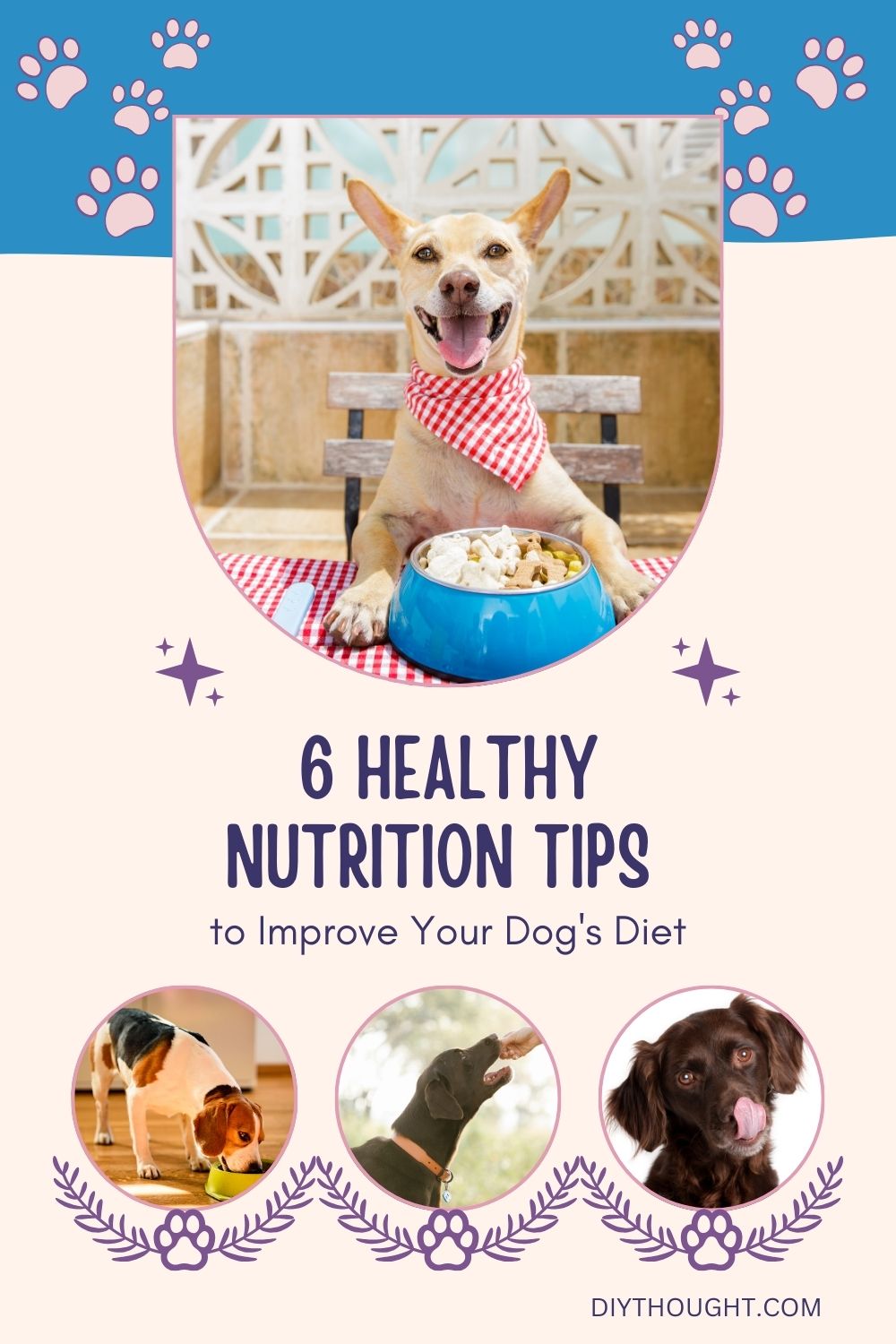 6 Healthy Nutrition Tips to Improve Your Dog’s Diet